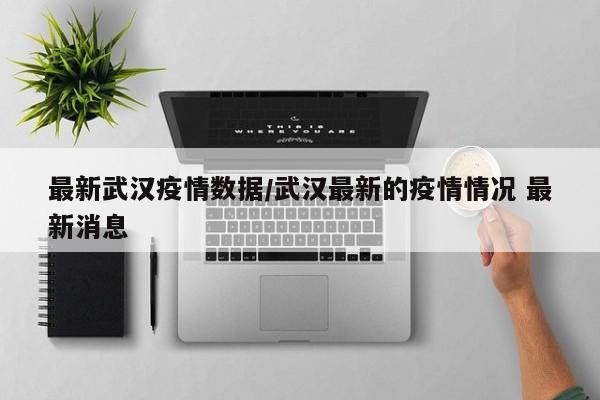 最新武汉疫情数据/武汉最新的疫情情况 最新消息