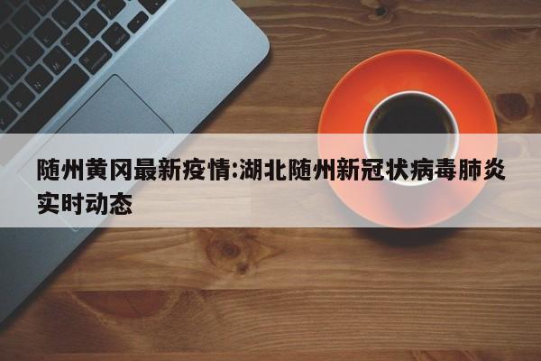 随州黄冈最新疫情:湖北随州新冠状病毒肺炎实时动态