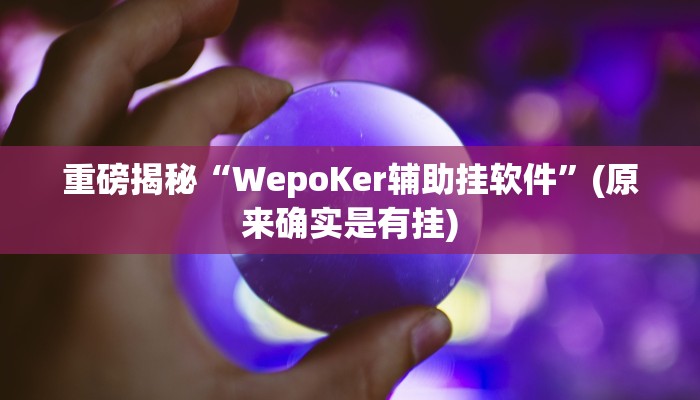 教程辅助“新永和大厅开挂辅助下载(透视)!详细教程透视方法