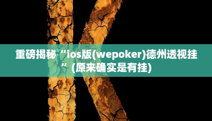 教程辅助“粤东百乐汇透视(透视)!详细教程透视方法