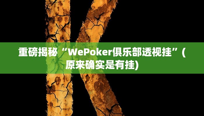 实测辅助”德扑之星辅助透视作弊教程”(详细开挂教程)