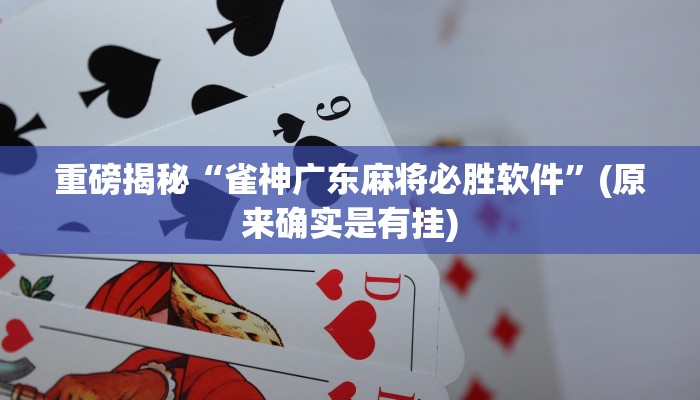 实测辅助”werplan德州到底有没有挂”(详细开挂教程)