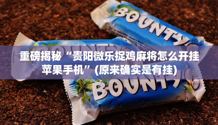 实测辅助”HHpoker辅助透视挂”(详细开挂教程)