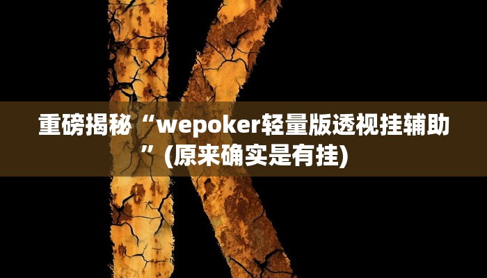 实测辅助”wepokerplus作弊详细”(详细开挂教程)