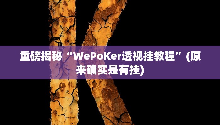 实测辅助”“wepoker德州透视辅助””(详细开挂教程)