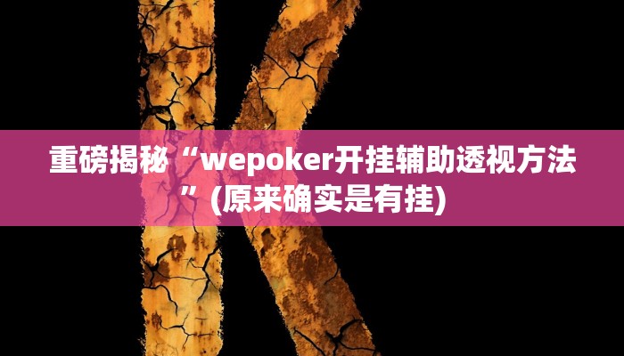教程辅助“德扑之星到底有没有辅助软件(透视)!详细教程透视方法
