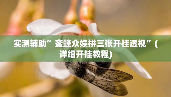 实测辅助”蜜蜂众娱拼三张开挂透视”(详细开挂教程)