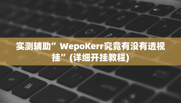 实测辅助”WepoKerr究竟有没有透视挂”(详细开挂教程)