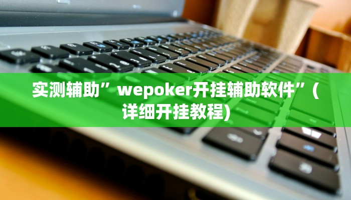 实测辅助”wepoker开挂辅助软件”(详细开挂教程)