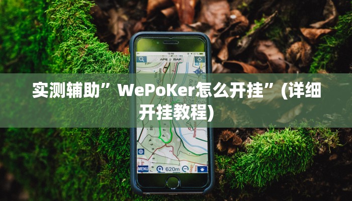 实测辅助”WePoKer怎么开挂”(详细开挂教程)