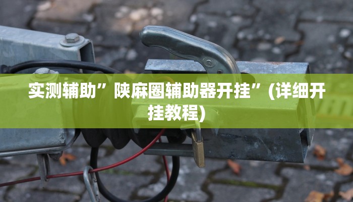 实测辅助”陕麻圈辅助器开挂”(详细开挂教程)