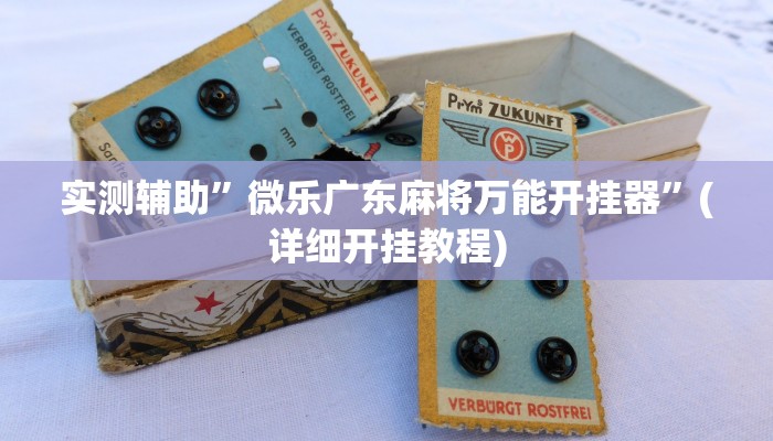 实测辅助”微乐广东麻将万能开挂器”(详细开挂教程)