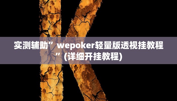 实测辅助”wepoker轻量版透视挂教程”(详细开挂教程)