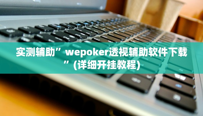 实测辅助”wepoker透视辅助软件下载”(详细开挂教程)