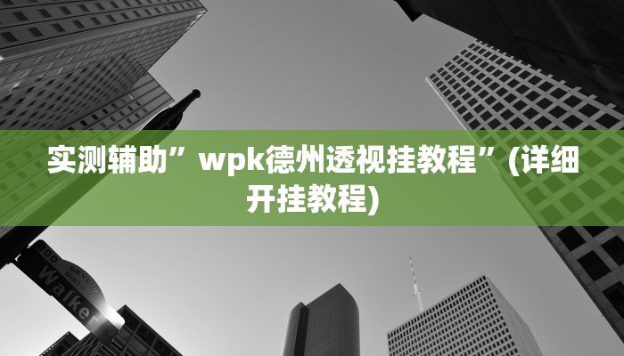 实测辅助”wpk德州透视挂教程”(详细开挂教程)