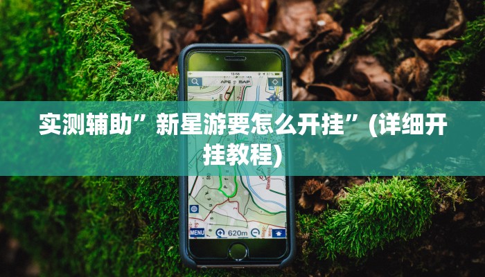 实测辅助”新星游要怎么开挂”(详细开挂教程)