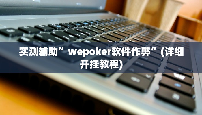 实测辅助”wepoker软件作弊”(详细开挂教程)
