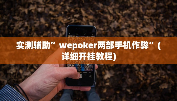 实测辅助”wepoker两部手机作弊”(详细开挂教程)