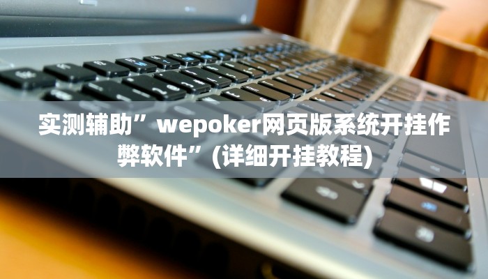 实测辅助”wepoker网页版系统开挂作弊软件”(详细开挂教程)