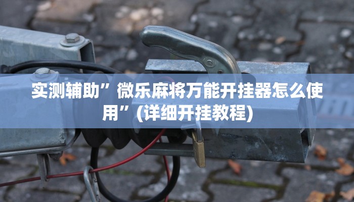 实测辅助”微乐麻将万能开挂器怎么使用”(详细开挂教程)