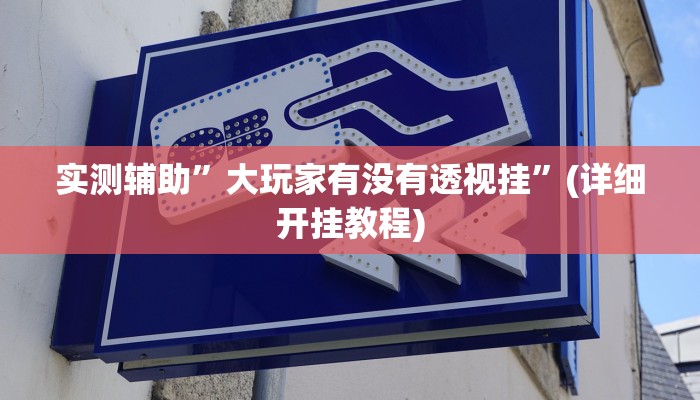 实测辅助”大玩家有没有透视挂”(详细开挂教程)