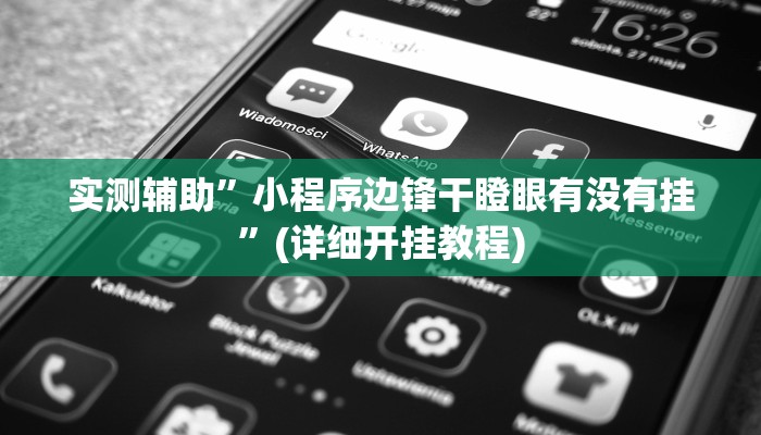 实测辅助”小程序边锋干瞪眼有没有挂”(详细开挂教程)