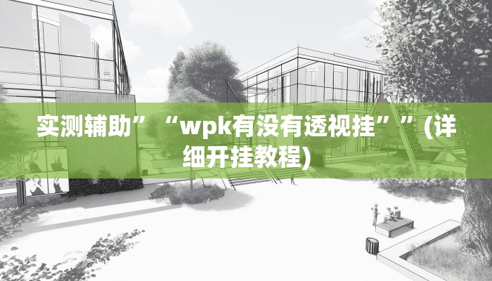 实测辅助”“wpk有没有透视挂””(详细开挂教程)
