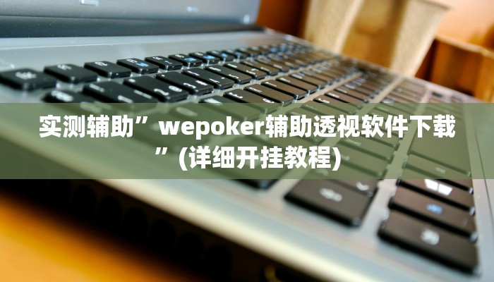 实测辅助”wepoker辅助透视软件下载”(详细开挂教程)