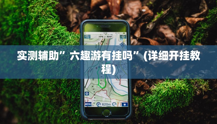 实测辅助”六趣游有挂吗”(详细开挂教程)