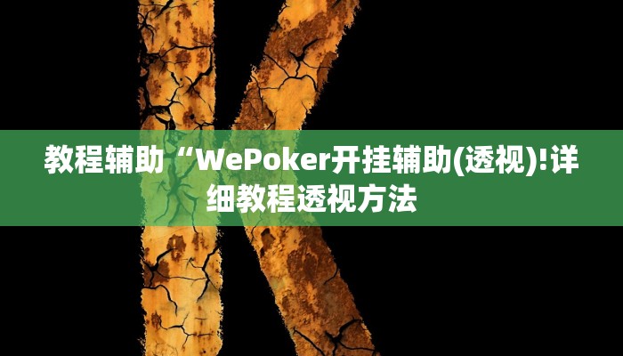 教程辅助“WePoker开挂辅助(透视)!详细教程透视方法