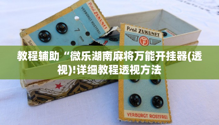 教程辅助“微乐湖南麻将万能开挂器(透视)!详细教程透视方法