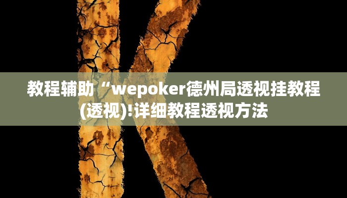 教程辅助“wepoker德州局透视挂教程(透视)!详细教程透视方法
