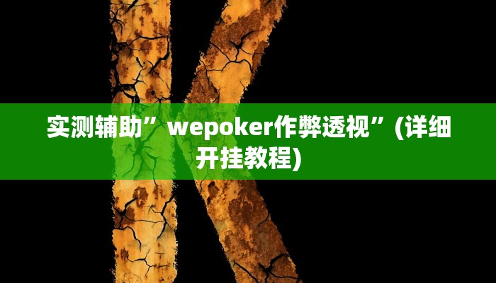 实测辅助”wepoker作弊透视”(详细开挂教程)