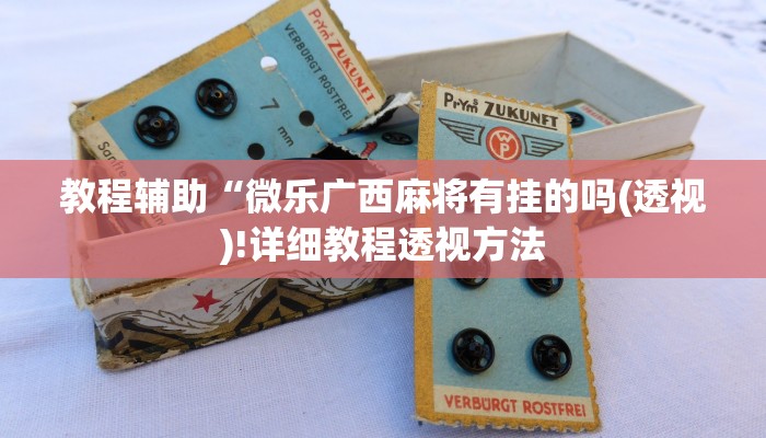 教程辅助“微乐广西麻将有挂的吗(透视)!详细教程透视方法