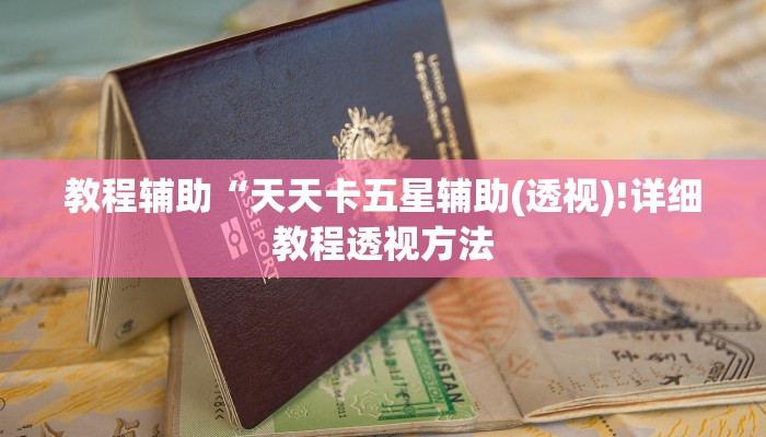 教程辅助“天天卡五星辅助(透视)!详细教程透视方法