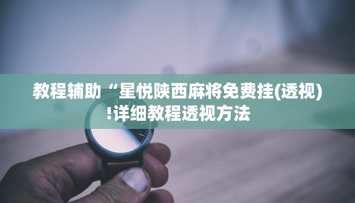 教程辅助“星悦陕西麻将免费挂(透视)!详细教程透视方法