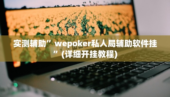 实测辅助”wepoker私人局辅助软件挂”(详细开挂教程)