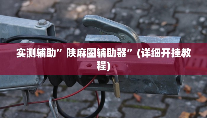 实测辅助”陕麻圈辅助器”(详细开挂教程)