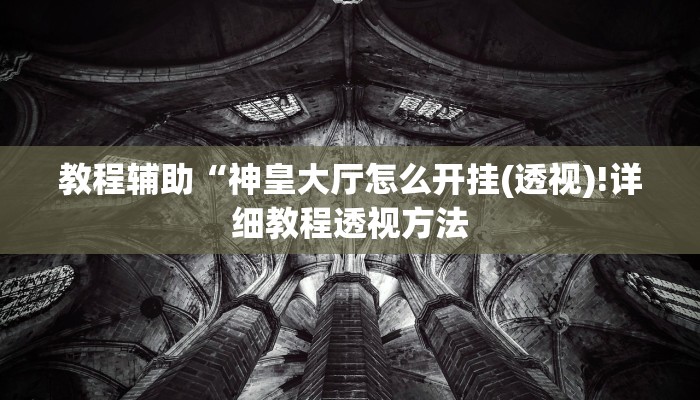 教程辅助“神皇大厅怎么开挂(透视)!详细教程透视方法