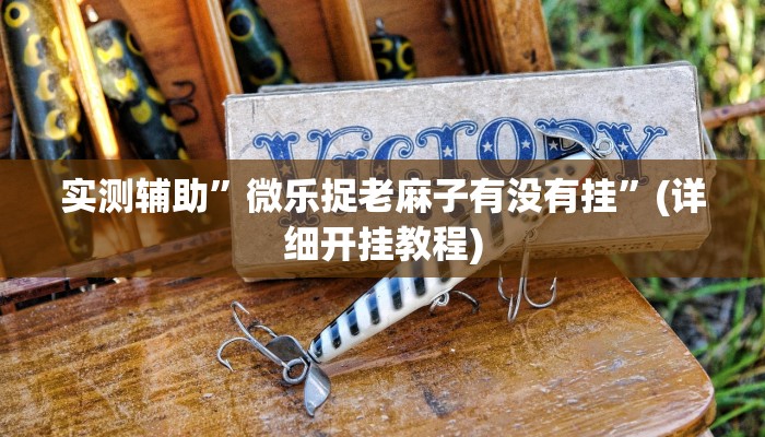 实测辅助”微乐捉老麻子有没有挂”(详细开挂教程)