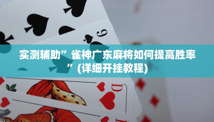 实测辅助”川麻圈有没有作弊”(详细开挂教程)
