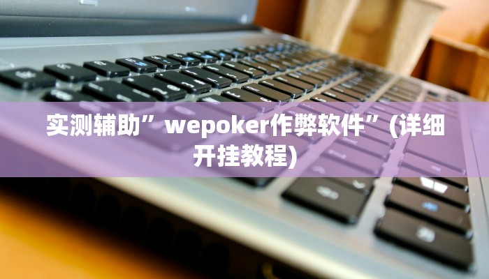 实测辅助”wepoker作弊软件”(详细开挂教程)