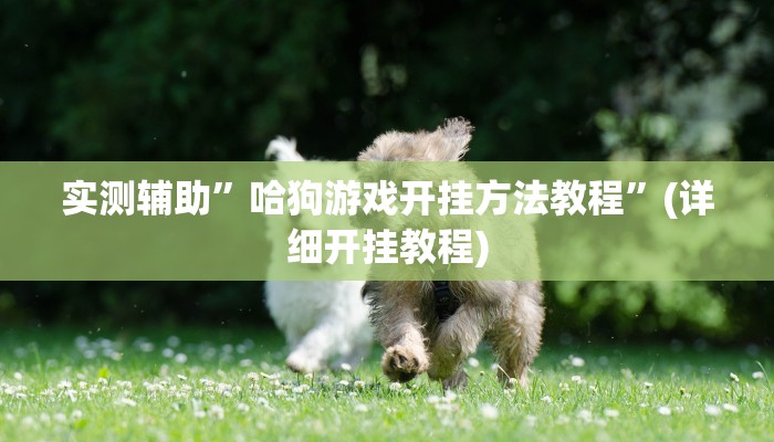 实测辅助”哈狗游戏开挂方法教程”(详细开挂教程)