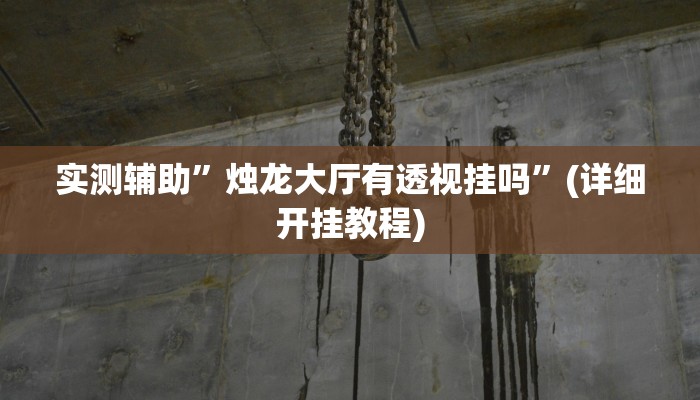 实测辅助”烛龙大厅有透视挂吗”(详细开挂教程)