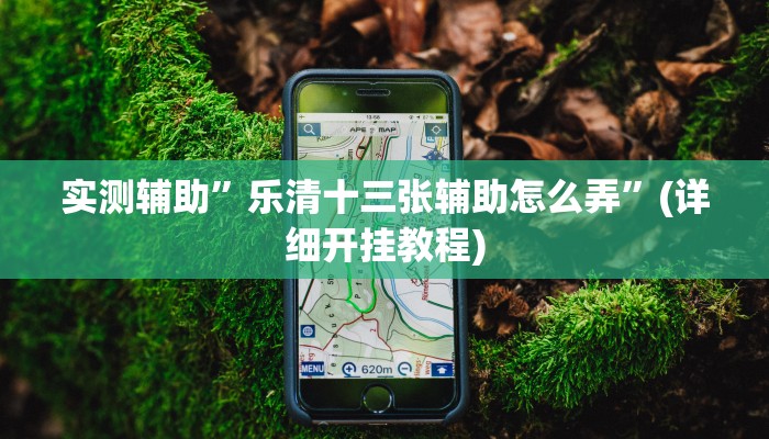 实测辅助”乐清十三张辅助怎么弄”(详细开挂教程)