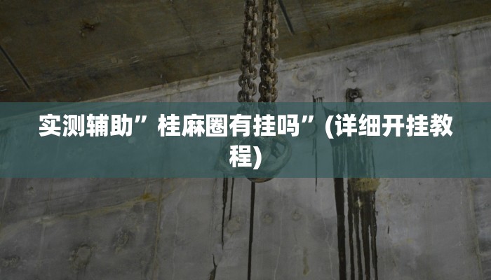 实测辅助”桂麻圈有挂吗”(详细开挂教程)