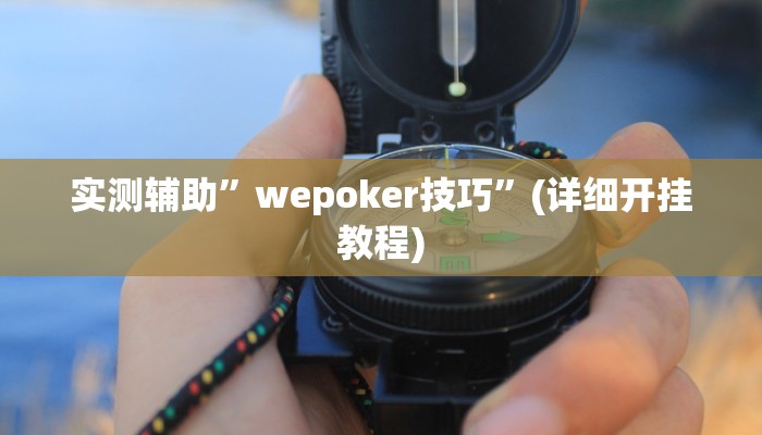 实测辅助”wepoker技巧”(详细开挂教程)