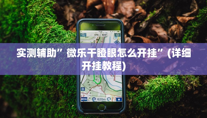 实测辅助”微乐干瞪眼怎么开挂”(详细开挂教程)