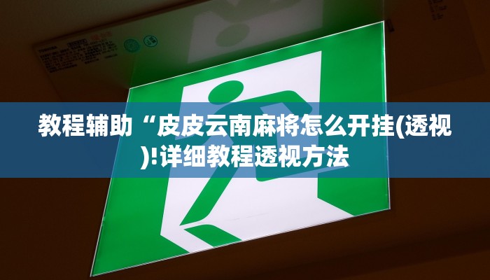 教程辅助“皮皮云南麻将怎么开挂(透视)!详细教程透视方法