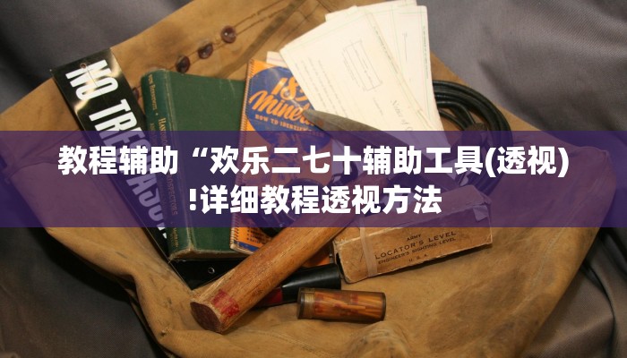 教程辅助“欢乐二七十辅助工具(透视)!详细教程透视方法